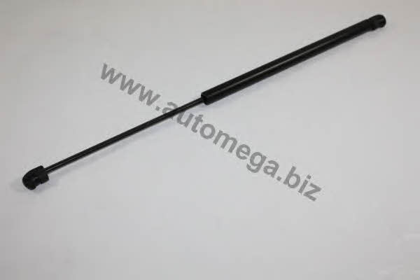 AutoMega 3182303596N0 Gas hood spring 3182303596N0: Buy near me at 2407.PL in Poland at an Affordable price!