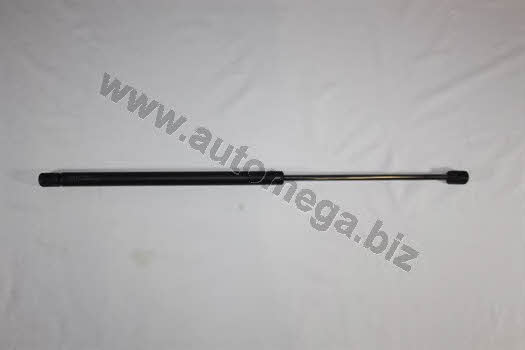 AutoMega 3111800405 Gas hood spring 3111800405: Buy near me in Poland at 2407.PL - Good price!