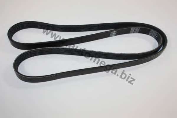 AutoMega 30103160336 V-Ribbed Belt 30103160336: Buy near me at 2407.PL in Poland at an Affordable price!