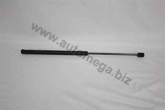 AutoMega 3182705528D9F Gas Spring, boot-/cargo area 3182705528D9F: Buy near me in Poland at 2407.PL - Good price!
