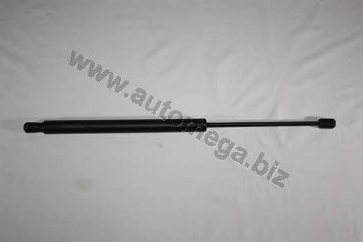 AutoMega 3101320749 Gas Spring, boot-/cargo area 3101320749: Buy near me in Poland at 2407.PL - Good price!