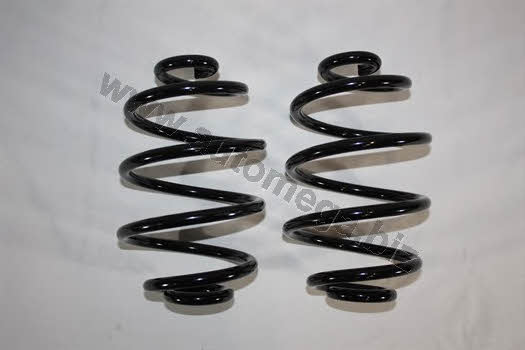 AutoMega 3004240057 Coil Spring 3004240057: Buy near me in Poland at 2407.PL - Good price!
