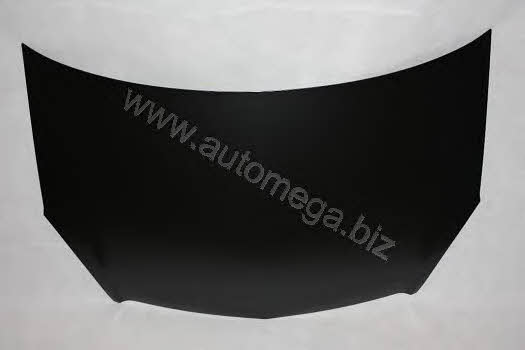 AutoMega 3011600008 Hood 3011600008: Buy near me in Poland at 2407.PL - Good price!