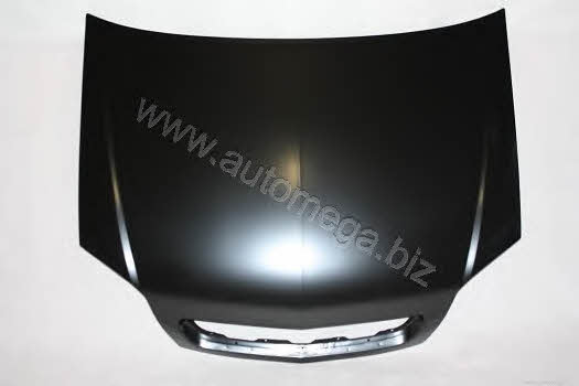 AutoMega 3011600009 Hood 3011600009: Buy near me in Poland at 2407.PL - Good price!