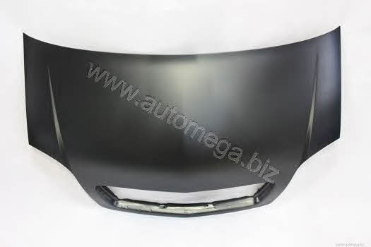 AutoMega 3011600011 Hood 3011600011: Buy near me in Poland at 2407.PL - Good price!
