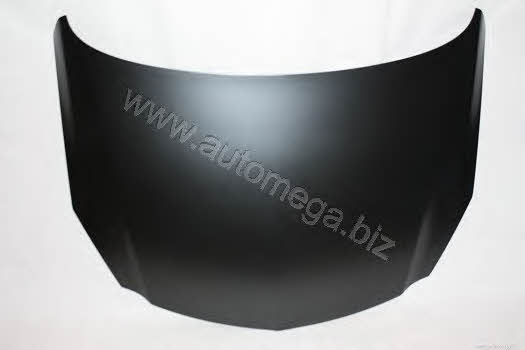 AutoMega 3011600013 Hood 3011600013: Buy near me in Poland at 2407.PL - Good price!
