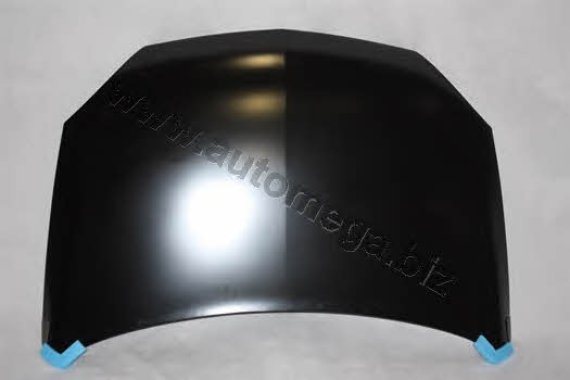 AutoMega 3011600248 Hood 3011600248: Buy near me in Poland at 2407.PL - Good price!