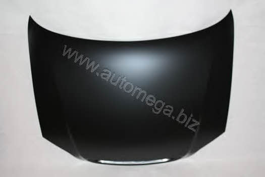 AutoMega 3011600253 Hood 3011600253: Buy near me in Poland at 2407.PL - Good price!