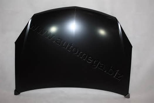 AutoMega 3011600254 Hood 3011600254: Buy near me at 2407.PL in Poland at an Affordable price!