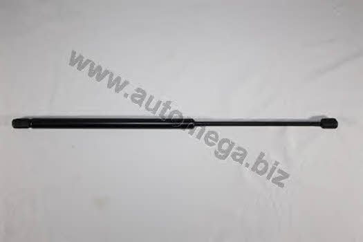 AutoMega 3011800405 Gas hood spring 3011800405: Buy near me in Poland at 2407.PL - Good price!