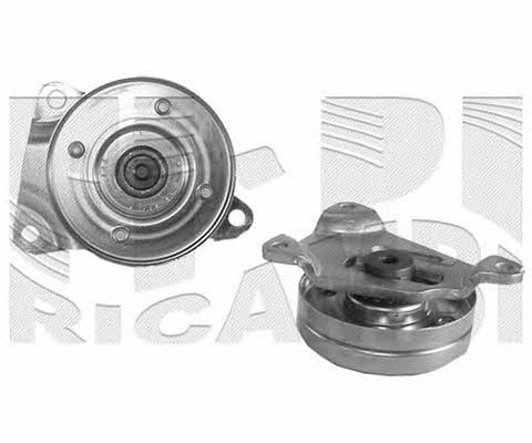 Autoteam A00492 DRIVE BELT TENSIONER A00492: Buy near me in Poland at 2407.PL - Good price!