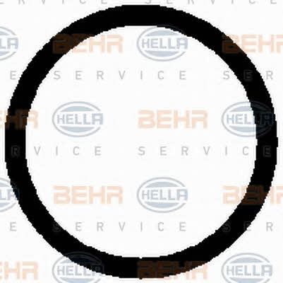 Buy Behr-Hella 8FK 351 126-141 at a low price in Poland!