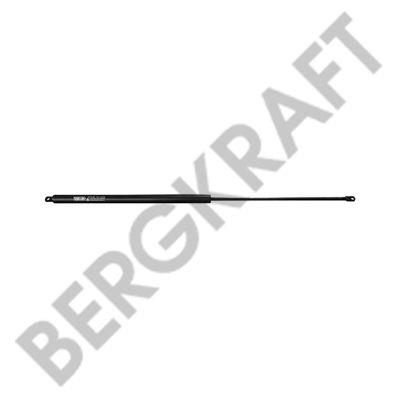 Berg kraft BK2938921SP Auto part BK2938921SP: Buy near me at 2407.PL in Poland at an Affordable price!