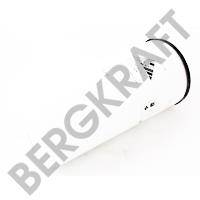 Berg kraft BK8600714 Oil Filter BK8600714: Buy near me in Poland at 2407.PL - Good price!