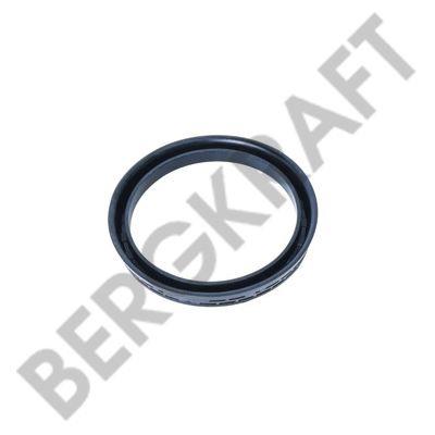 Berg kraft BK2839321SP Seal BK2839321SP: Buy near me in Poland at 2407.PL - Good price!