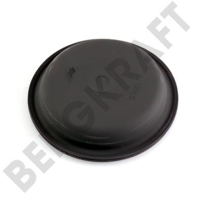 Berg kraft BK1401513AS Auto part BK1401513AS: Buy near me in Poland at 2407.PL - Good price!