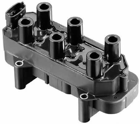 Beru ZS306 Ignition coil ZS306: Buy near me in Poland at 2407.PL - Good price!