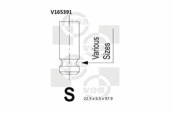 BGA V165391 Exhaust valve V165391: Buy near me at 2407.PL in Poland at an Affordable price!