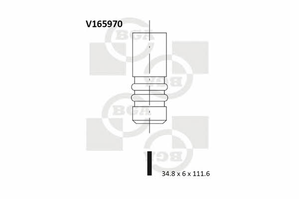 BGA V165970 Клапан впускной V165970: Отличная цена - Купить в Польше на 2407.PL!