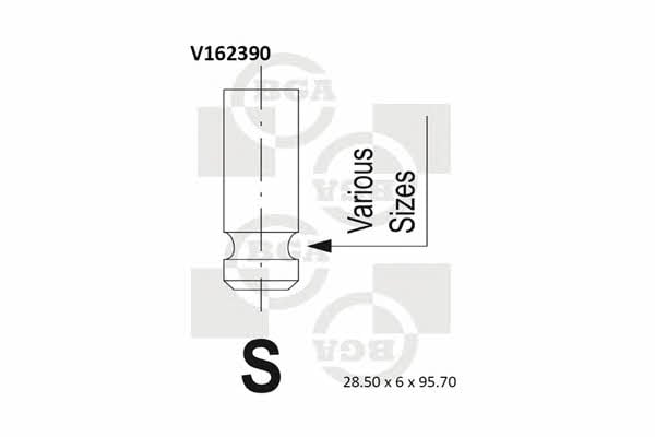 BGA V162390 Intake valve V162390: Buy near me in Poland at 2407.PL - Good price!