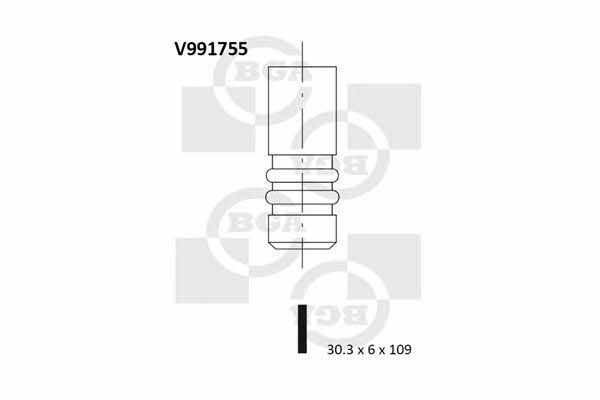 BGA V991755 Einlassventil V991755: Kaufen Sie zu einem guten Preis in Polen bei 2407.PL!