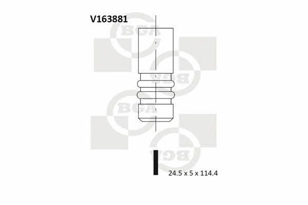 BGA V163881 Exhaust valve V163881: Buy near me at 2407.PL in Poland at an Affordable price!