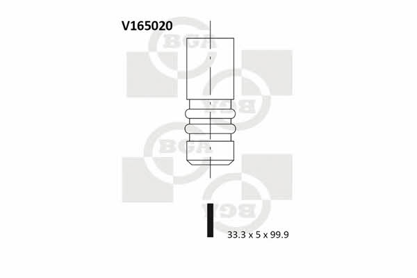 BGA V165020 Intake valve V165020: Buy near me at 2407.PL in Poland at an Affordable price!
