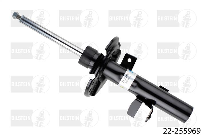 Kup Bilstein 22-255969 w niskiej cenie w Polsce!