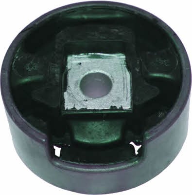 Birth 52113 Engine mount 52113: Buy near me in Poland at 2407.PL - Good price!