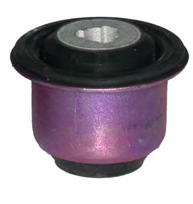 Birth 2260 Control Arm-/Trailing Arm Bush 2260: Buy near me in Poland at 2407.PL - Good price!