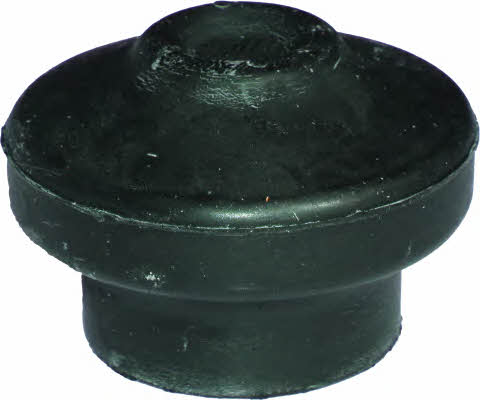 Birth 50521 Engine mount, front 50521: Buy near me in Poland at 2407.PL - Good price!