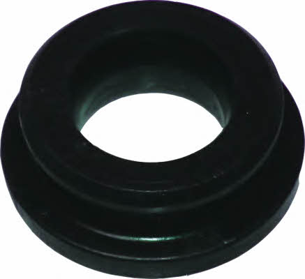 Birth 4207 Gearbox backstage bushing 4207: Buy near me in Poland at 2407.PL - Good price!