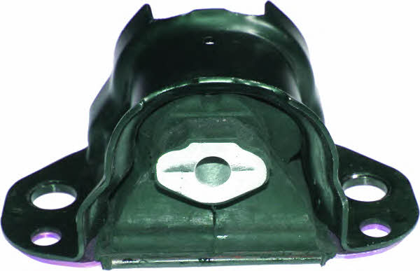 Birth 50675 Engine mount right 50675: Buy near me in Poland at 2407.PL - Good price!