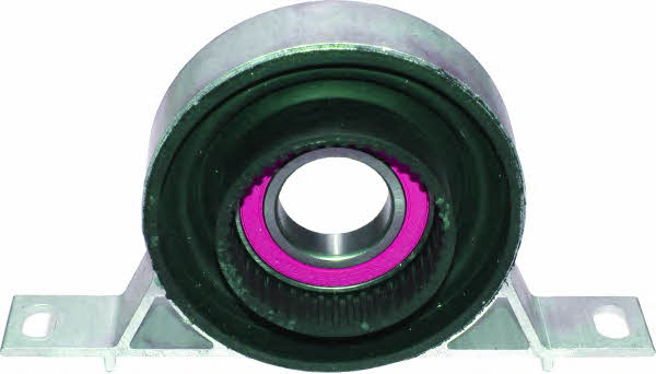 Birth 50165 Driveshaft outboard bearing 50165: Buy near me in Poland at 2407.PL - Good price!