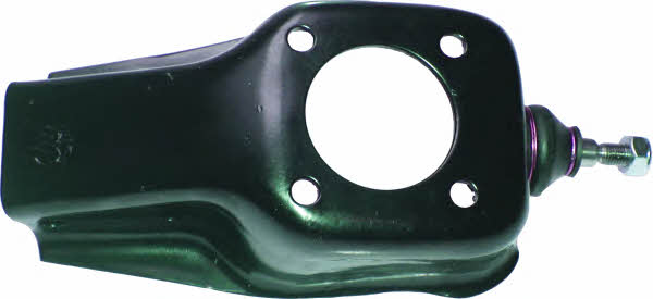 Birth BR1011 Track Control Arm BR1011: Buy near me in Poland at 2407.PL - Good price!