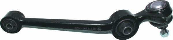 Birth BR1123 Track Control Arm BR1123: Buy near me in Poland at 2407.PL - Good price!