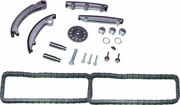 Birth 6098 Timing chain kit 6098: Buy near me in Poland at 2407.PL - Good price!