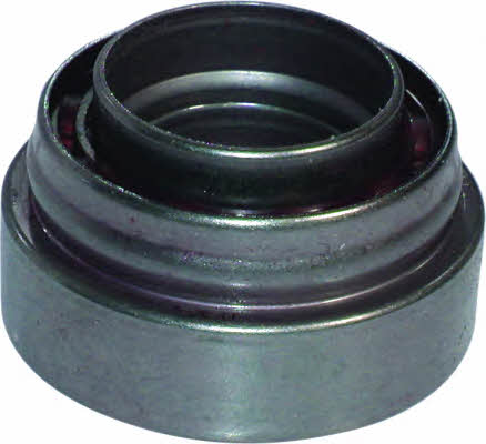 Birth 6145 Drive shaft bearing 6145: Buy near me in Poland at 2407.PL - Good price!
