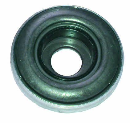 Birth 6324 Shock absorber bearing 6324: Buy near me in Poland at 2407.PL - Good price!