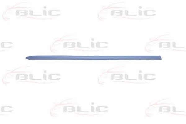 Blic 5703-04-2031576P Door trim 5703042031576P: Buy near me at 2407.PL in Poland at an Affordable price!