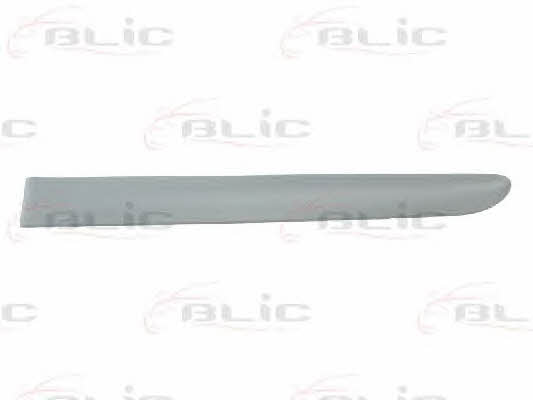 Blic 5703-04-6032577P Door trim 5703046032577P: Buy near me at 2407.PL in Poland at an Affordable price!
