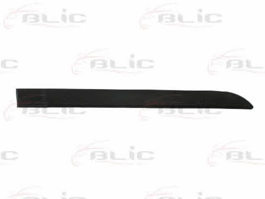 Blic 5703-04-6042574P Door trim 5703046042574P: Buy near me at 2407.PL in Poland at an Affordable price!