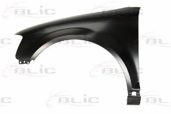 Blic 6504-04-0026313P Front fender left 6504040026313P: Buy near me in Poland at 2407.PL - Good price!