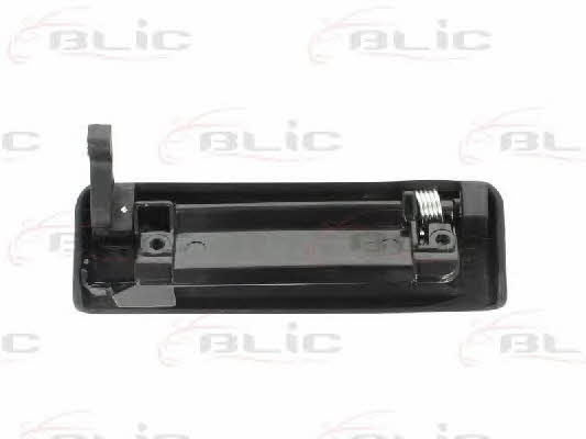 Blic 6010-03-024402P Handle-assist 601003024402P: Buy near me in Poland at 2407.PL - Good price!