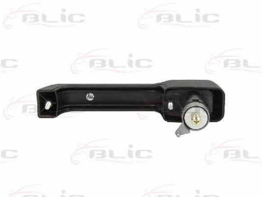 Blic 6010-07-015401P Handle-assist 601007015401P: Buy near me in Poland at 2407.PL - Good price!