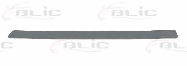 Blic 5513-00-0040928P Trim bumper 5513000040928P: Buy near me at 2407.PL in Poland at an Affordable price!