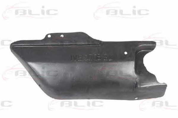 Blic 6601-02-3080871P Engine cover 6601023080871P: Buy near me in Poland at 2407.PL - Good price!