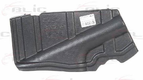 Blic 6601-02-3267873P Engine cover 6601023267873P: Buy near me in Poland at 2407.PL - Good price!