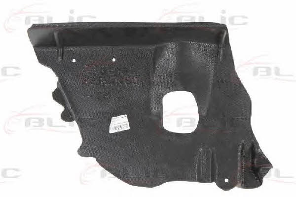 Engine cover Blic 6601-02-0550871P