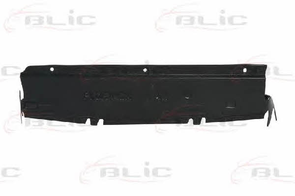 Blic 6601-02-6010880P Engine cover 6601026010880P: Buy near me in Poland at 2407.PL - Good price!